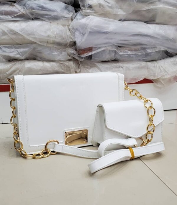 2 Pieces Hand Bag's