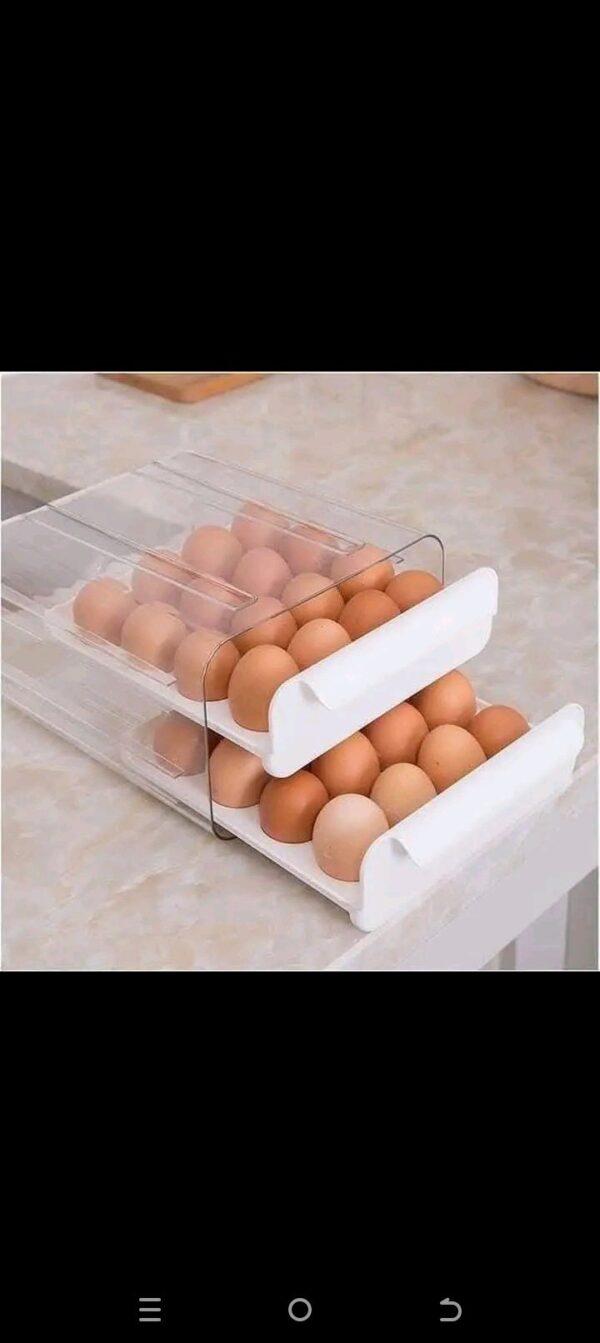EGG STORAGE